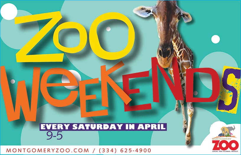 Zoo Weekend